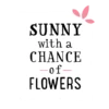 Sunny With A Chance Of Flowers Cabernet Sauvignon 2020 -Liquor Sales Store 46609
