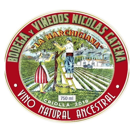 Catena 'Marchigiana' Criolla Chica 2020 3 Catena 'Marchigiana' Criolla Chica 2020